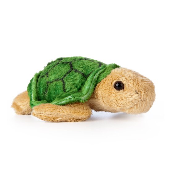 SMOLs Turtle Soft Toy image number 1