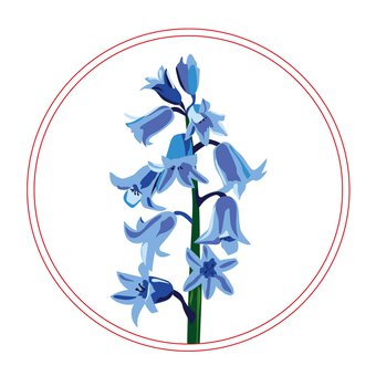 Bluebell Transparent Embroidery Kit image number 4