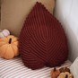 How to Crochet an Autumn Leaf Cushion image number 1