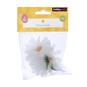 Daisy Heads 12 Pack image number 4