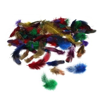 Coloured Luxury Feathers 5g