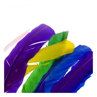 Assorted Feathers 7 Pack image number 3