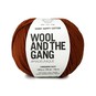 Wool and the Gang Cinnamon Dust Shiny Happy Cotton 100g image number 1