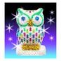 KSG 3D Owl Sequin Art image number 1