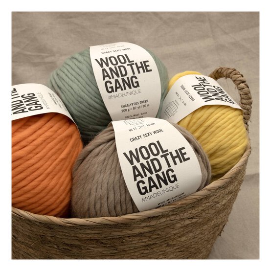 Wool and the Gang Eucalyptus Green Crazy Sexy Wool 200g image number 5