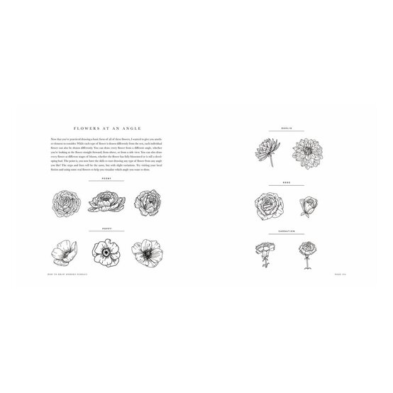 How To Draw Modern Florals image number 5