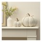 White Chenille Pumpkin 2 Pack Bundle image number 2