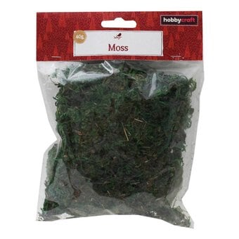Green Moss 40g