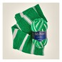 Sirdar Harry Potter Slytherin Self-Striping Scarf Yarn 300g image number 3
