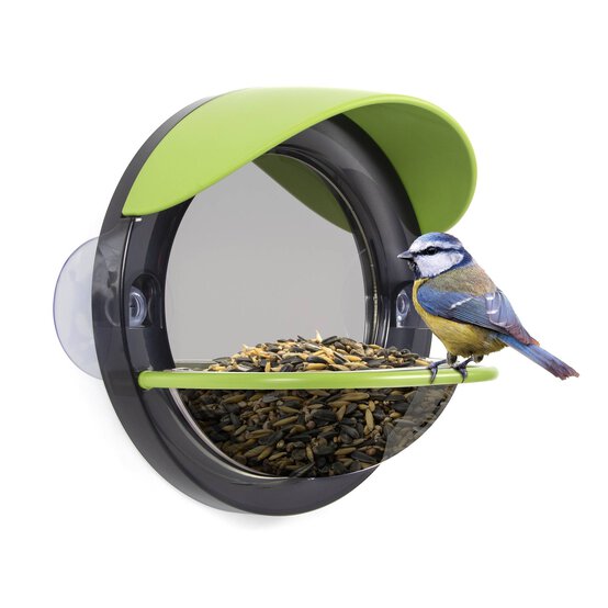 My Living World Window Bird Feeder image number 4