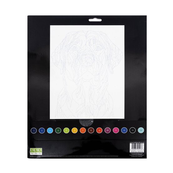 Rainbow Dog Paint by Numbers image number 4