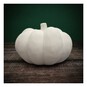 Ceramic Pumpkin 17cm image number 1