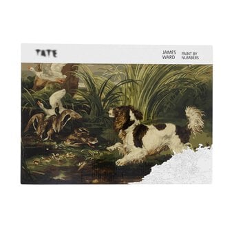 Tate Spaniel Frightening Ducks Paint by Numbers