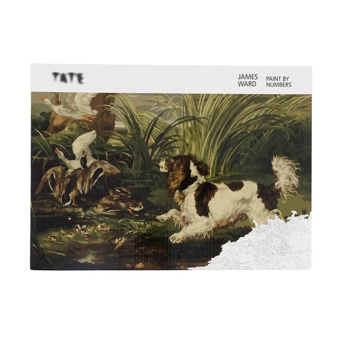 Tate Spaniel Frightening Ducks Paint by Numbers image number 1