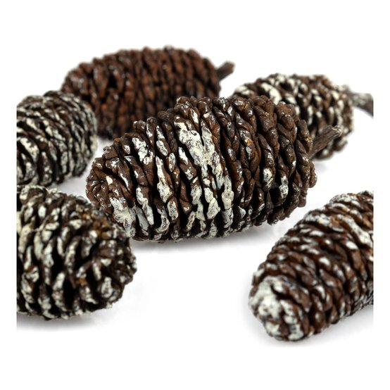Birch Pinecones 50g image number 4