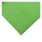 Apple and Dark Green Tissue Paper 50cm x 75cm 6 Pack image number 3