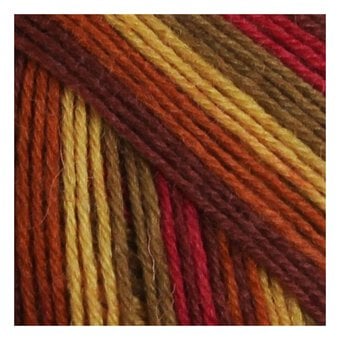 West Yorkshire Spinners Autumn Leaves Signature 4 Ply 100g image number 2