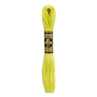 DMC Yellow Mouline Special 25 Cotton Thread 8m (012)