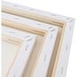 Mixed Stretched Canvases 3 Pack image number 3