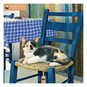 Ivory Cats Wall Calendar 2027 image number 1