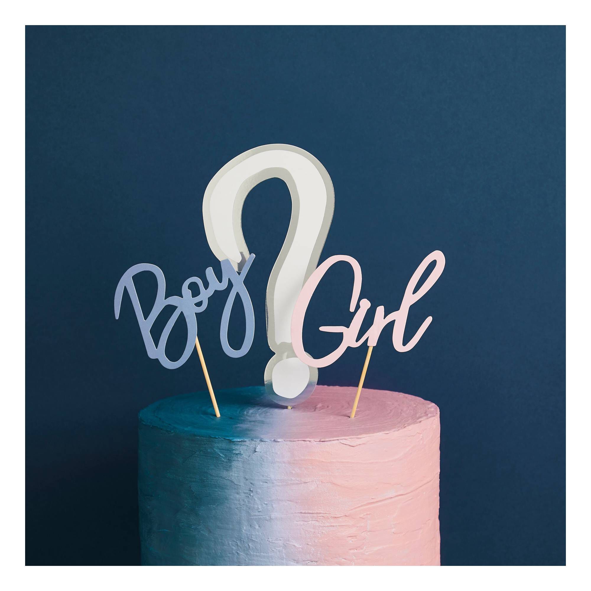 Gender Reveal Cake Topper Set Hobbycraft