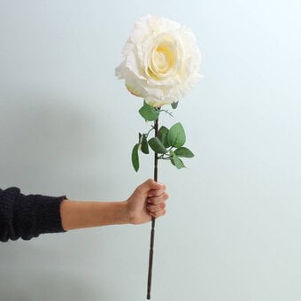White Sorbet Rose Stem 74cm