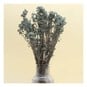 Green Gypsophila Bunch 60cm  image number 1