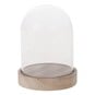 Glass Cloche with Wooden Base 10cm x 13.5cm image number 1