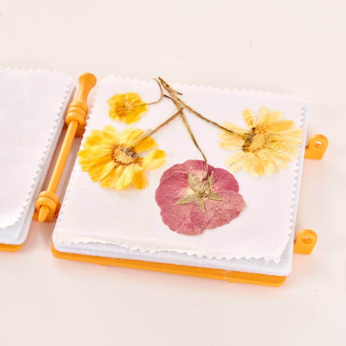 My Living World Instant Flower Press Hobbycraft