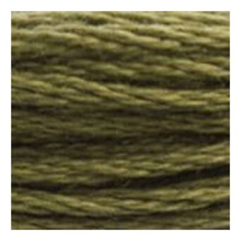 DMC Green Mouline Special 25 Cotton Thread 8m (3011)