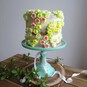How to Bake a Lemon and Elderflower Cake image number 1