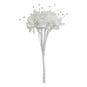 Cream Baby's Breath 12 Pack image number 1