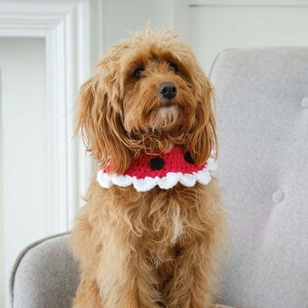 How to Crochet a Christmas Pet Accessory