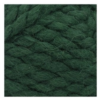 Lion Brand Evergreen Touch of Alpaca Thick & Quick 100g image number 2