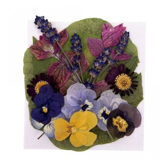 Edible Flower and Leaf Mix 20 Pack 