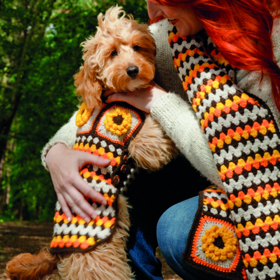 How to Crochet an Autumn Dog Coat - Free Pattern image number 1