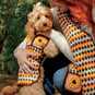 How to Crochet an Autumn Dog Coat image number 1