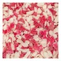 Crushed Candy Cane Sprinkles 157g image number 3