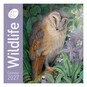 Bex Parkin Wildlife Wall Calendar 2027 image number 1