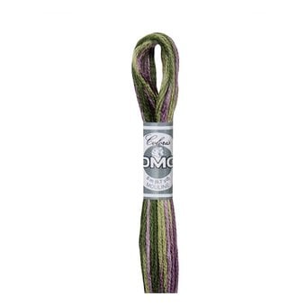 DMC Green and Purple Coloris Mouline Cotton Thread 8m (4505)