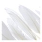 White Quill Feathers 15 Pack image number 3