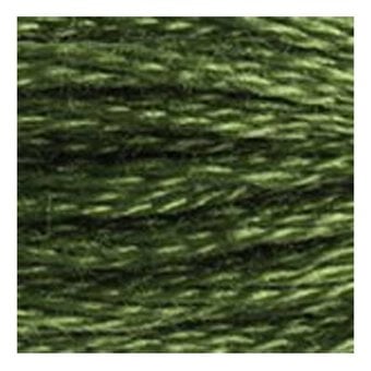 DMC Green Mouline Special 25 Cotton Thread 8m (3346) image number 2