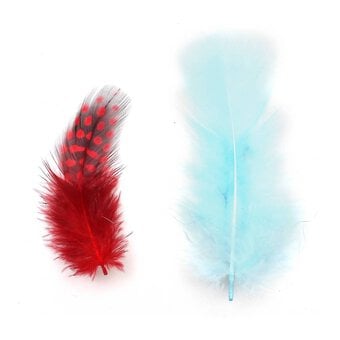 Mixed Exotic Craft Feathers 5g