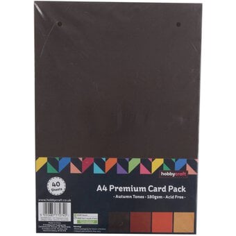 Autumn Tones Premium Card A4 40 Pack image number 3