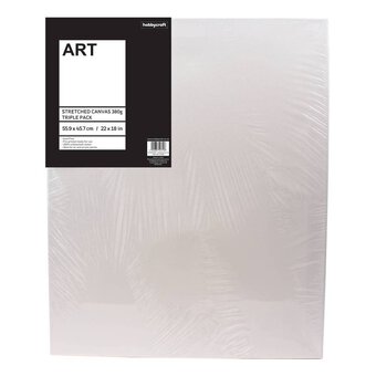 White Stretched Canvas 55.9cm x 45.7cm 3 Pack