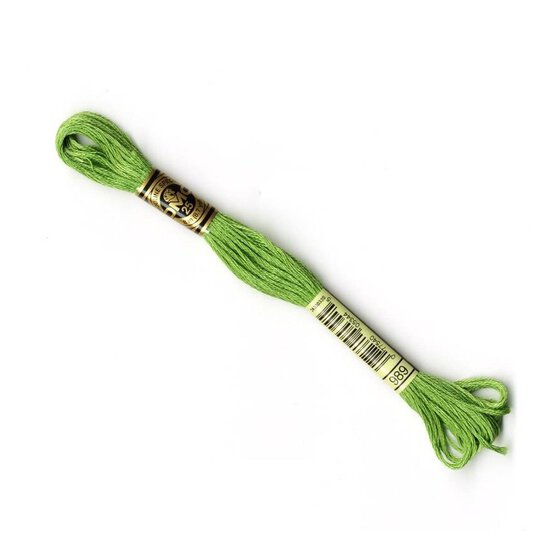 DMC Green Mouline Special 25 Cotton Thread 8m (989)