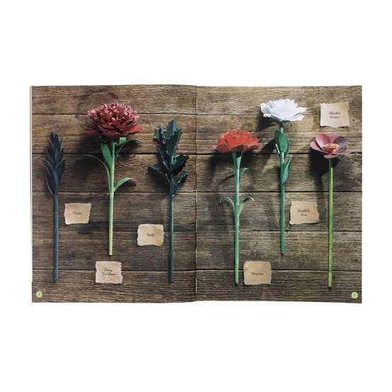 The Bouquet in a Book: Winter image number 3