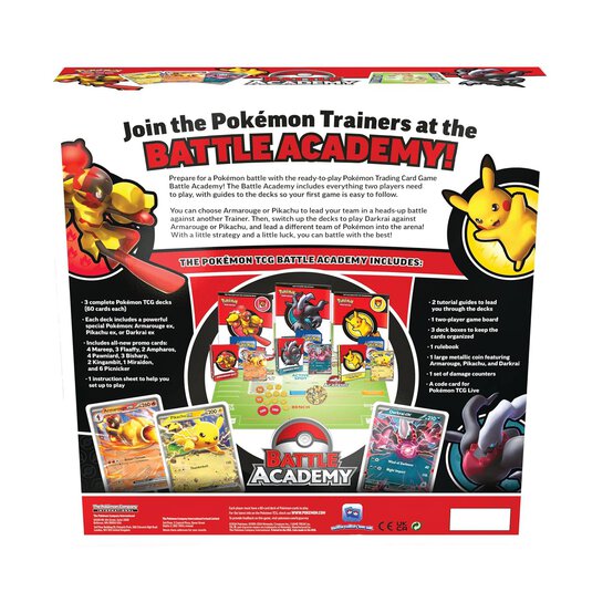 Pokemon Battle Academy image number 4