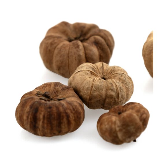 Putka Pods 40g  image number 4