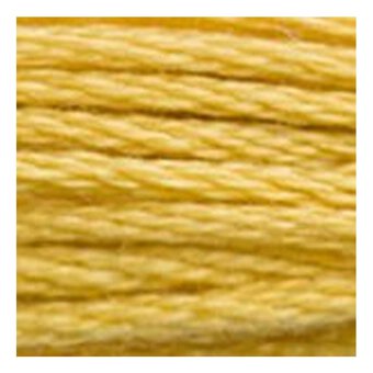 DMC Yellow Mouline Special 25 Cotton Thread 8m (3821)
